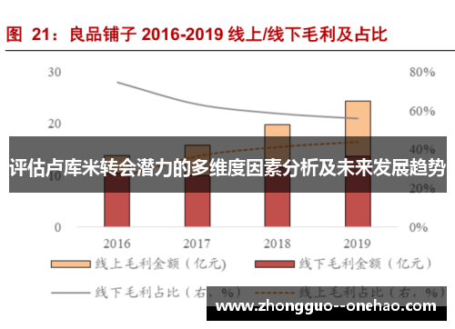 评估卢库米转会潜力的多维度因素分析及未来发展趋势