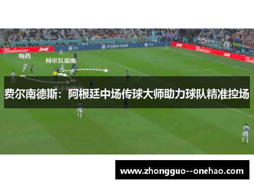 费尔南德斯：阿根廷中场传球大师助力球队精准控场