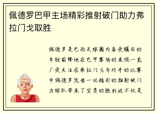 佩德罗巴甲主场精彩推射破门助力弗拉门戈取胜 佩德罗巴甲主场精彩推射破门助力弗拉门戈取胜